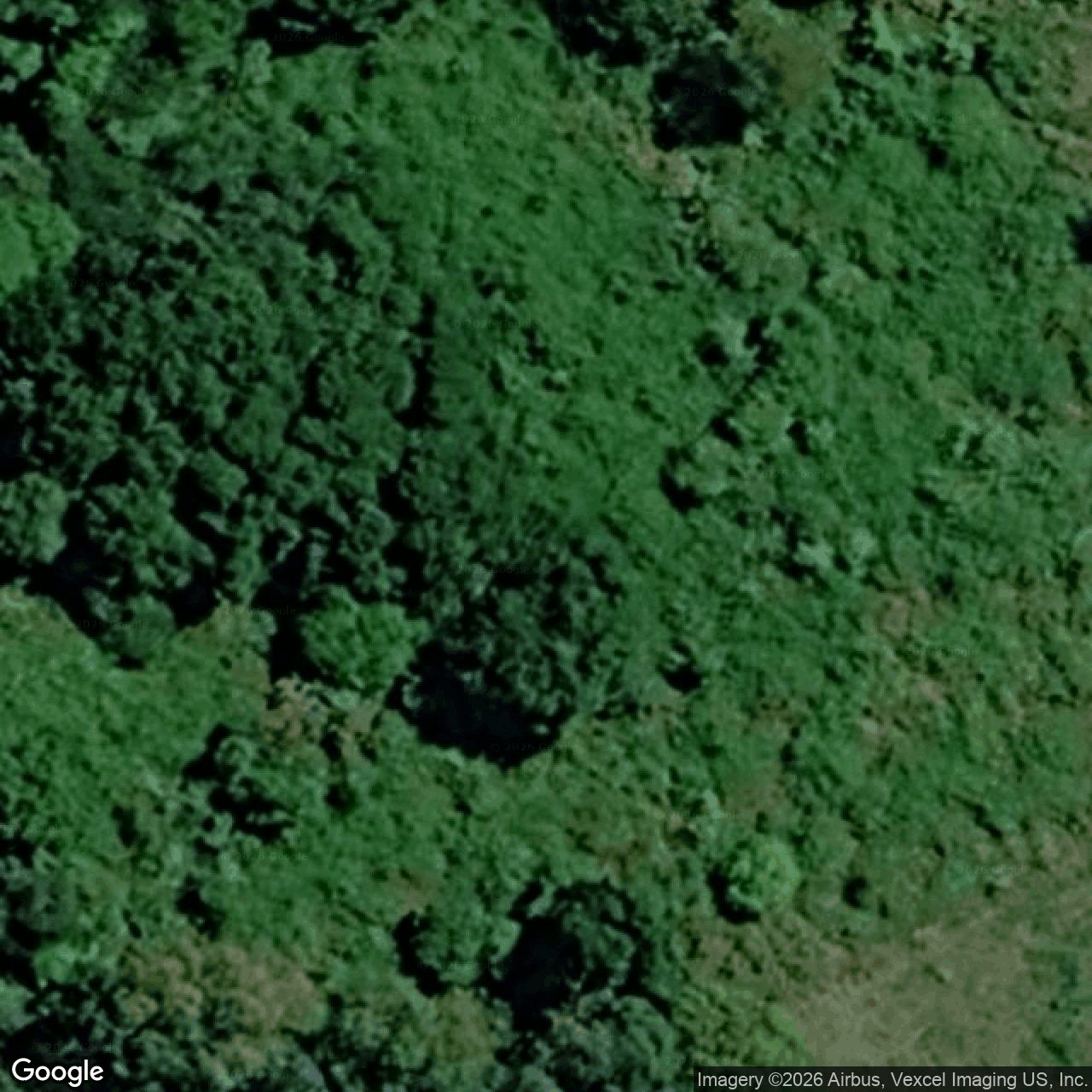 Aerial view of 11 Pemberton Close, Mount Nathan QLD 4211