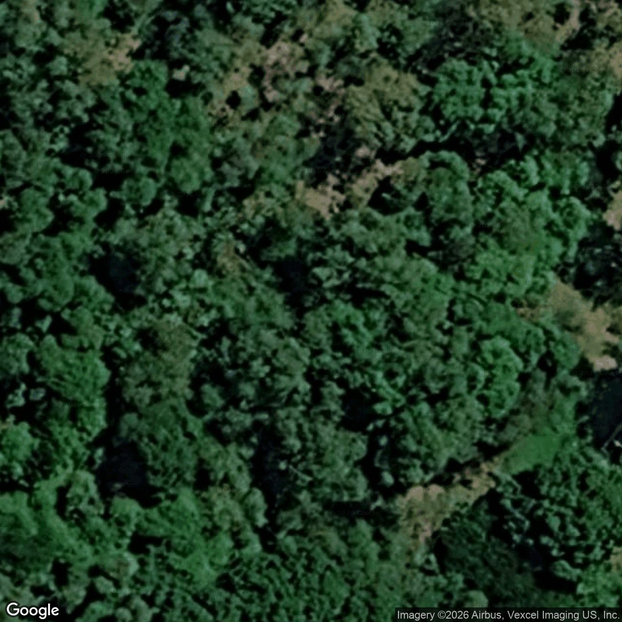 Aerial view of 19 Pemberton Close, Mount Nathan QLD 4211