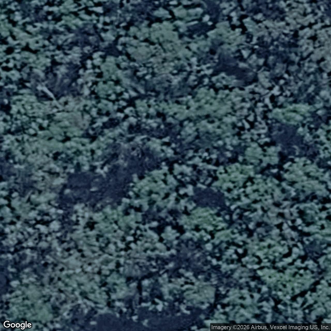 Aerial view of 223 Clagiraba Road, Mount Nathan QLD 4211