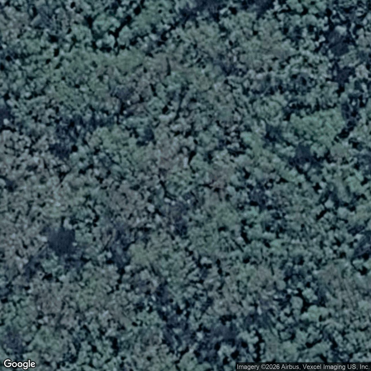 Aerial view of 21 Woodland Avenue, Mount Nathan QLD 4211