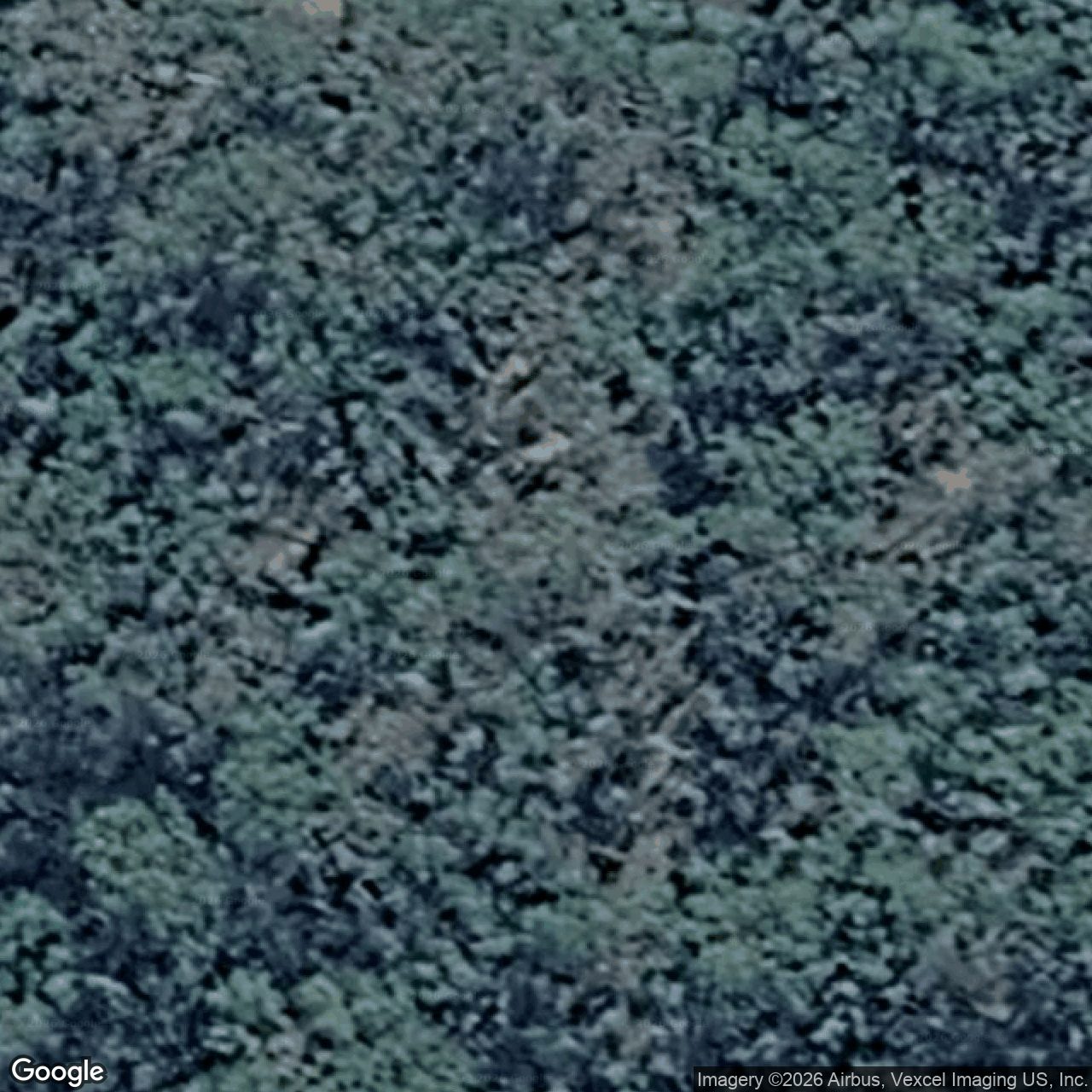 Aerial view of 36 Glen Nathan Court, Mount Nathan QLD 4211