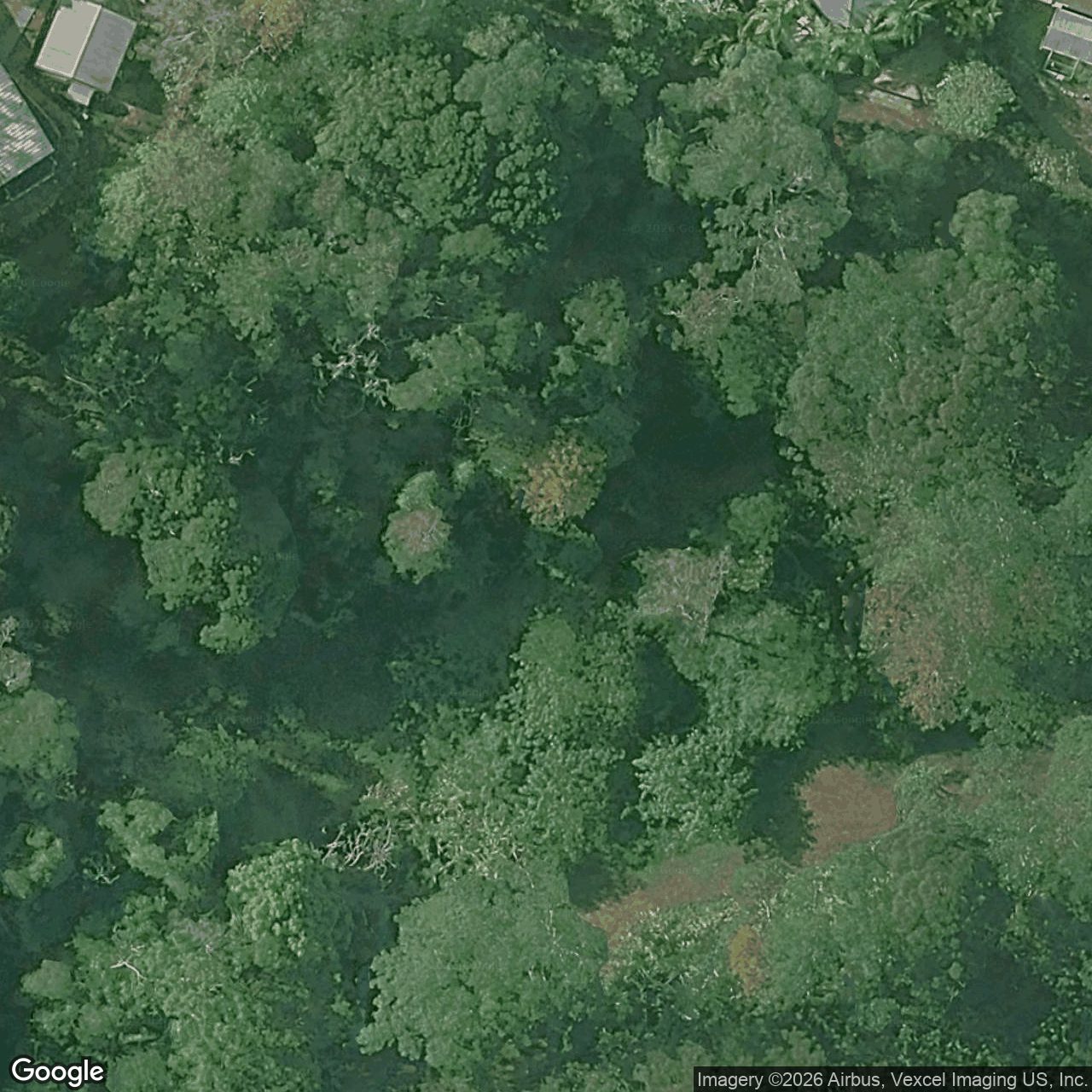 Aerial view of 31A Kerala Court, Mudgeeraba QLD 4213
