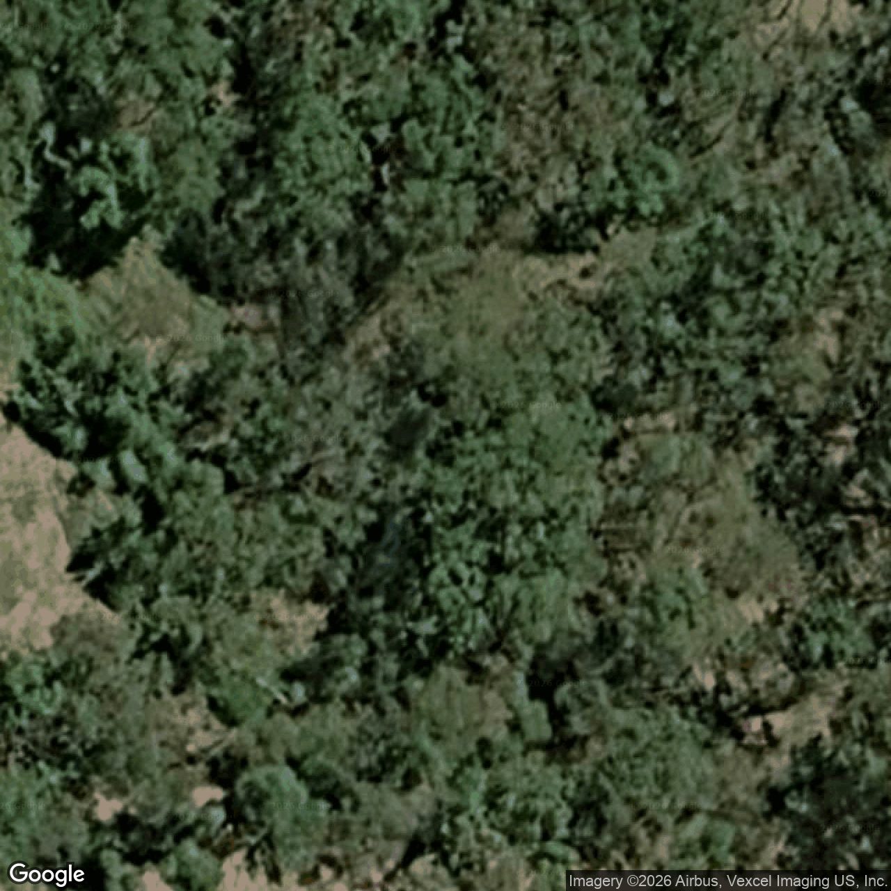 Aerial view of 191 Little Nerang Road, Mudgeeraba QLD 4213