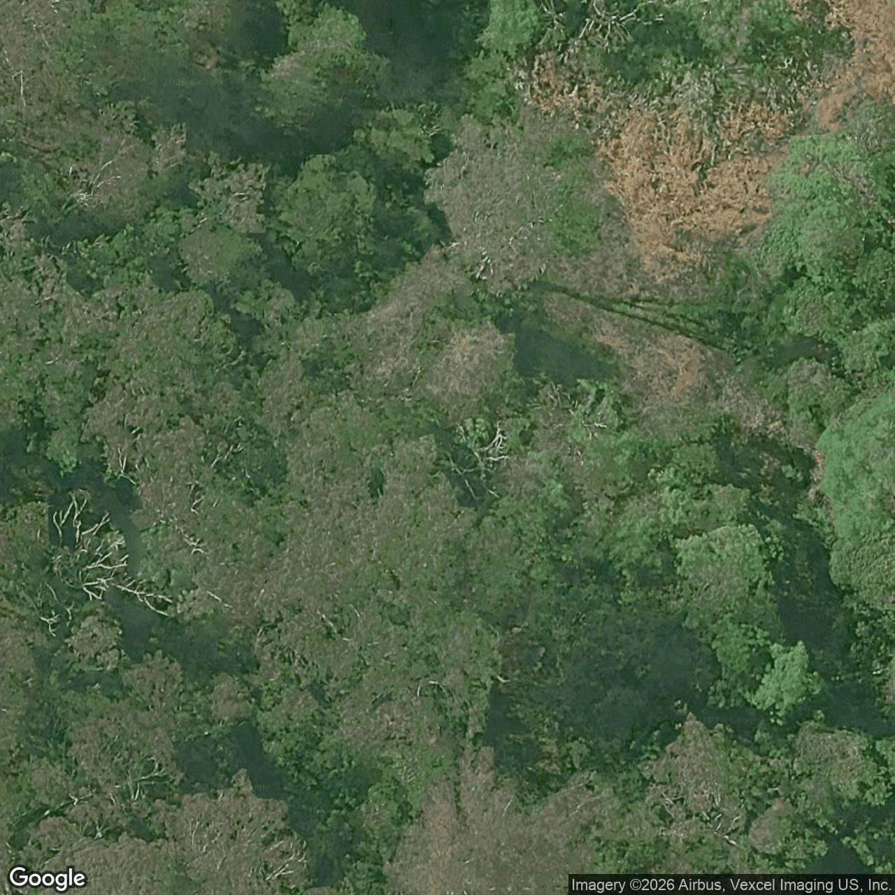 Aerial view of 68 Wallaby Drive, Mudgeeraba QLD 4213