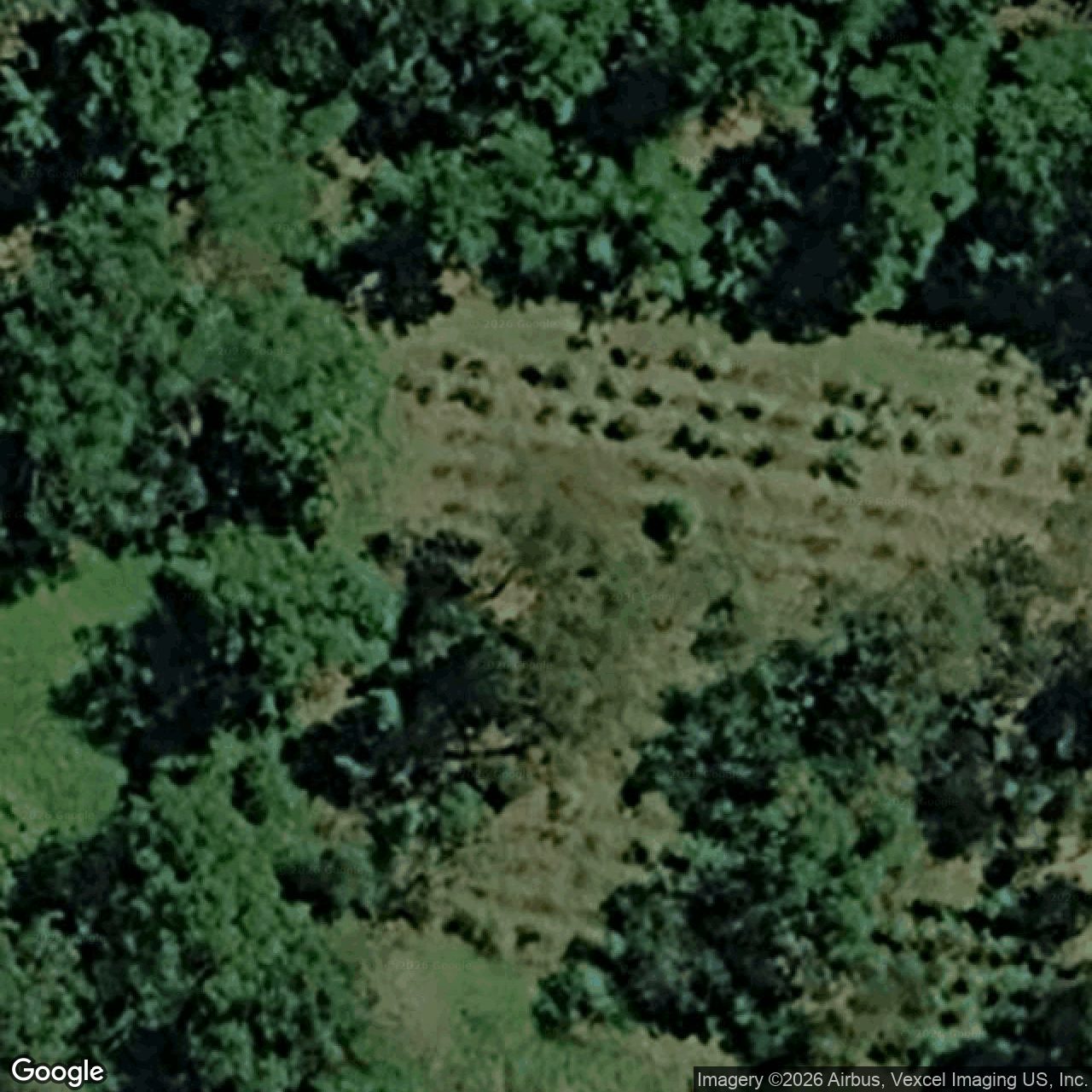 Aerial view of 1000 Gold Coast Springbrook Road, Neranwood QLD 4213