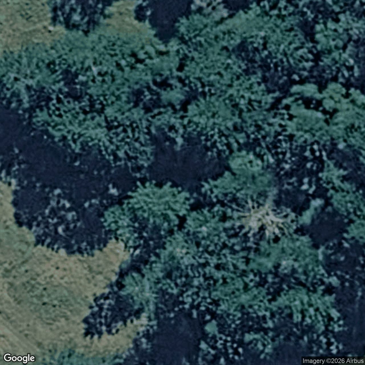 Aerial view of 329 Pocket Road, Numinbah Valley QLD 4211