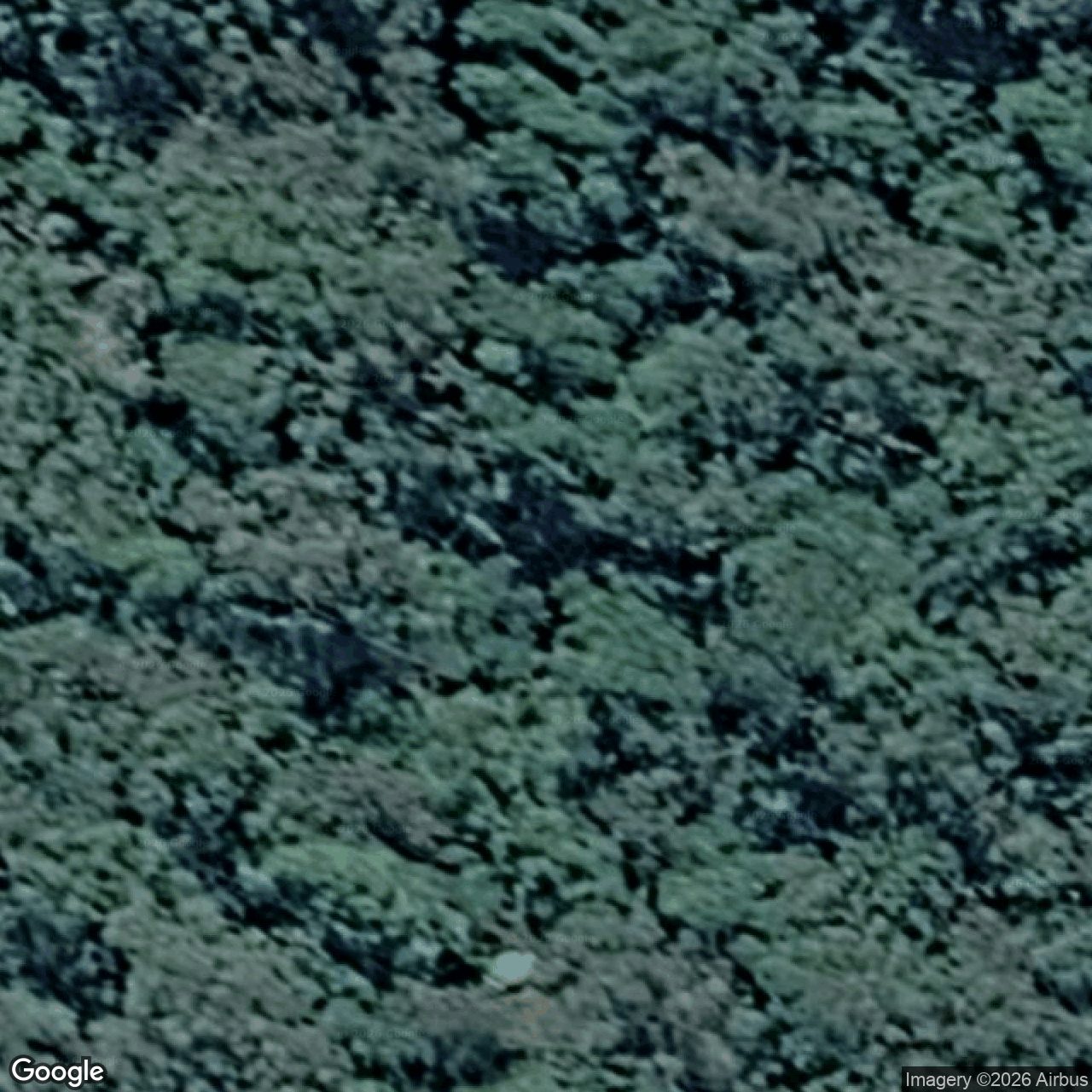 Aerial view of 400 Chesters Road, Numinbah Valley QLD 4211
