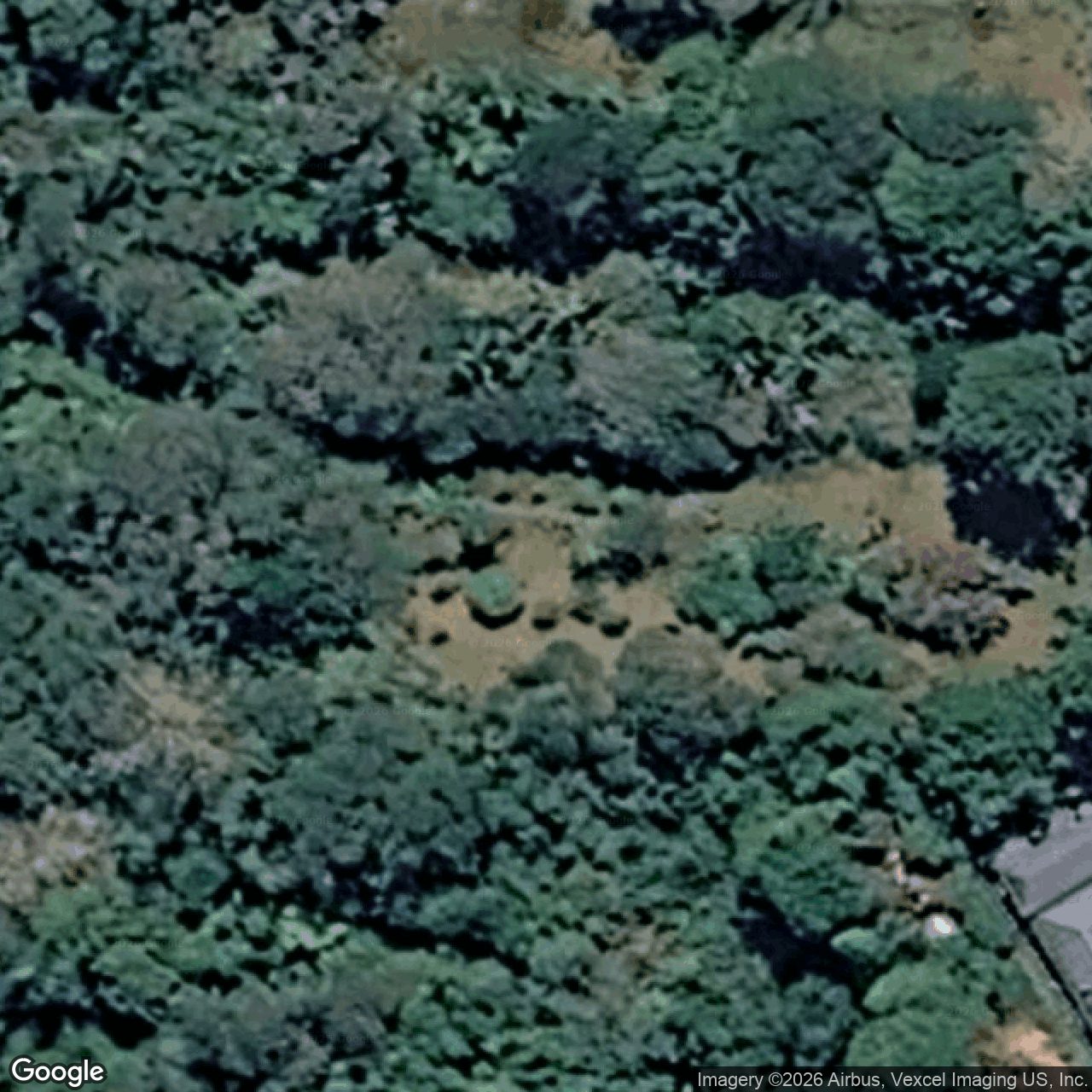 Aerial view of 2874 Springbrook Road, Springbrook QLD 4213