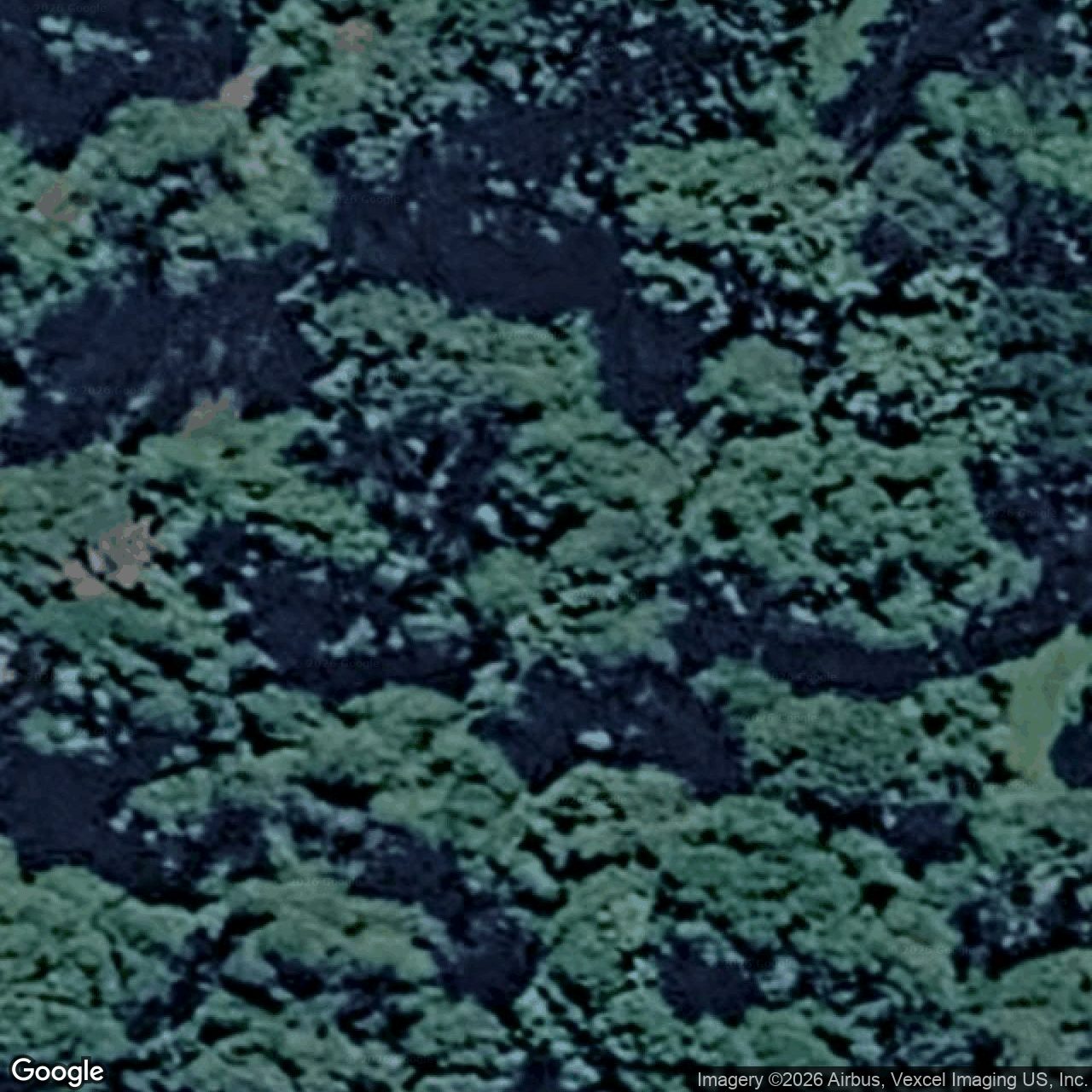 Aerial view of 1842 Springbrook Road, Springbrook QLD 4213