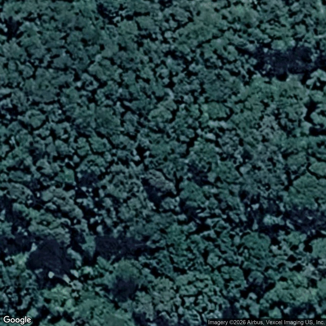 Aerial view of 145 Repeater Station Road, Springbrook QLD 4213