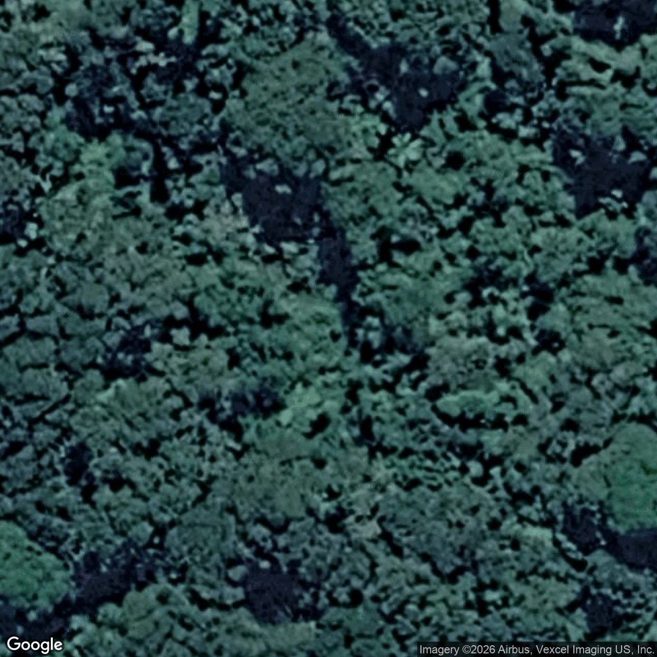 Aerial view of 133 Repeater Station Road, Springbrook QLD 4213