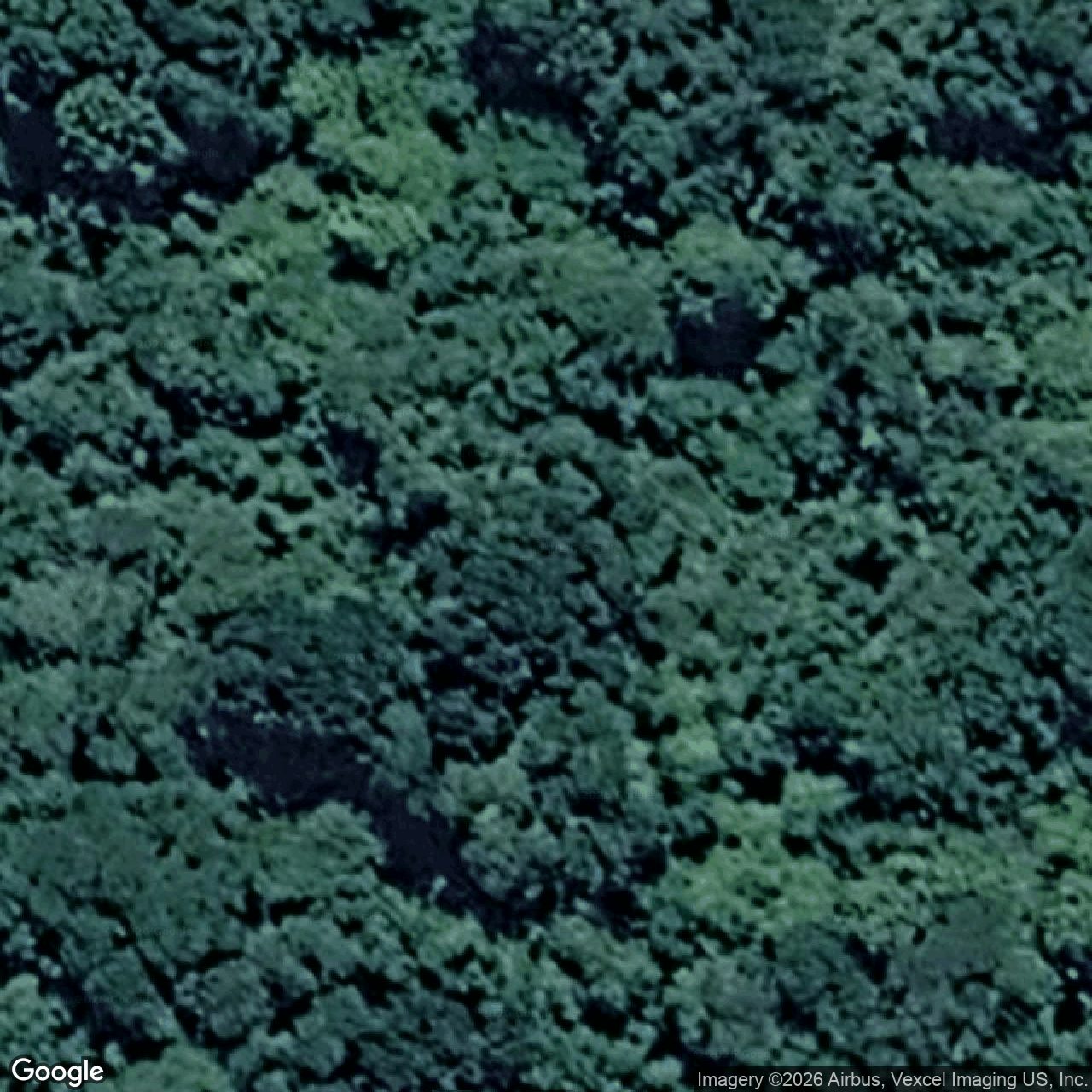 Aerial view of 267 Repeater Station Road, Springbrook QLD 4213