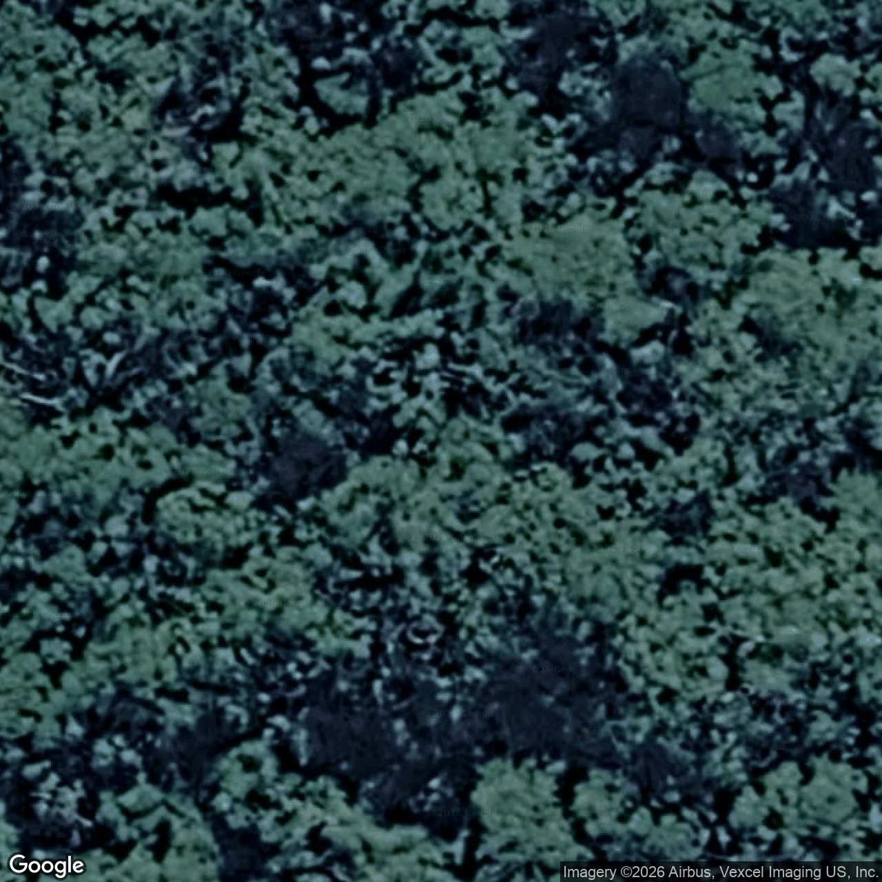 Aerial view of 16 Lyrebird Ridge Road, Springbrook QLD 4213