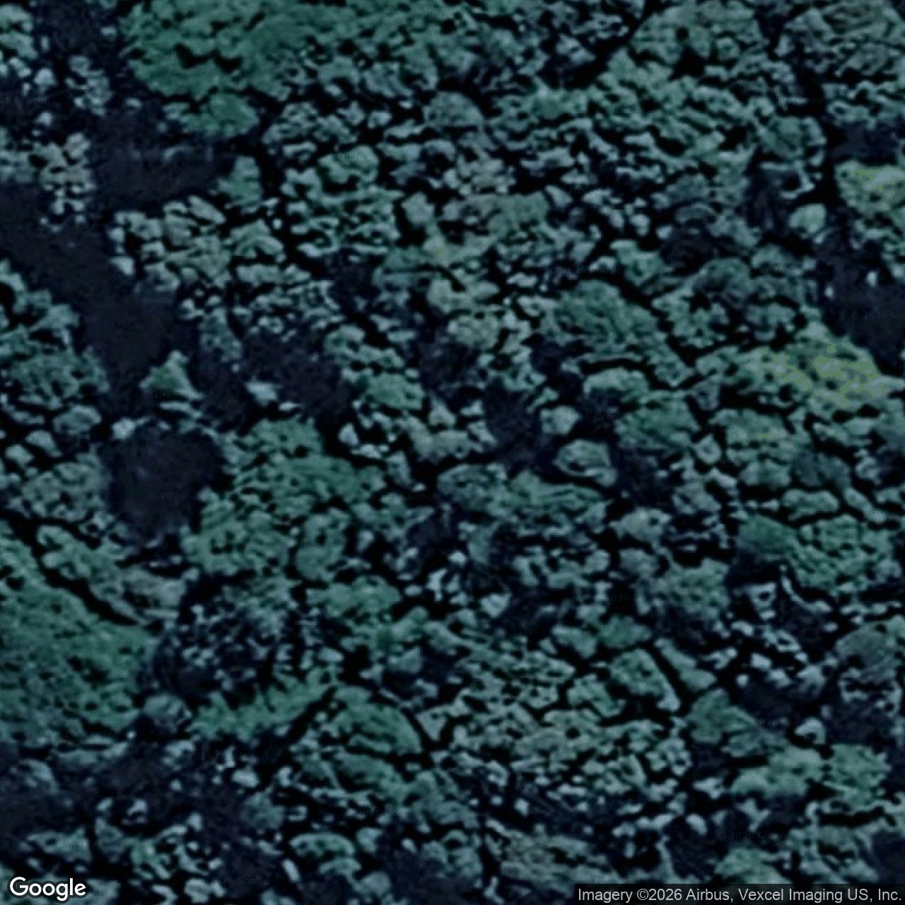 Aerial view of 418 Lyrebird Ridge Road, Springbrook QLD 4213
