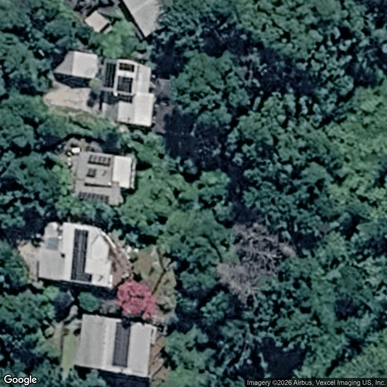 Aerial view of 59 Lyrebird Ridge Road, Springbrook QLD 4213
