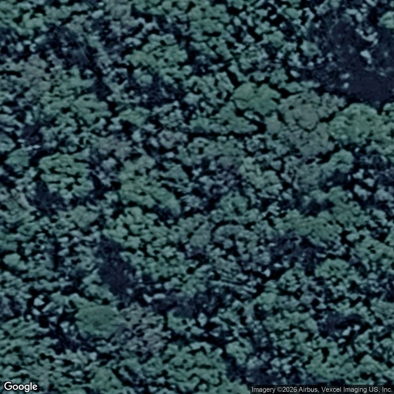 Aerial view of 608 Pine Creek Road, Springbrook QLD 4213