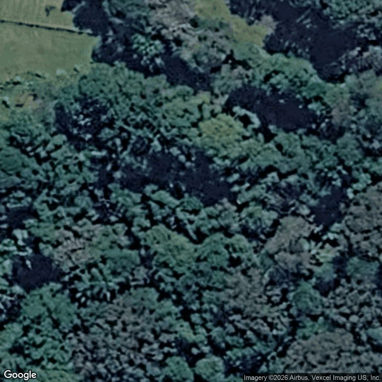 Aerial view of 37 Velvet Downs Road, Springbrook QLD 4213