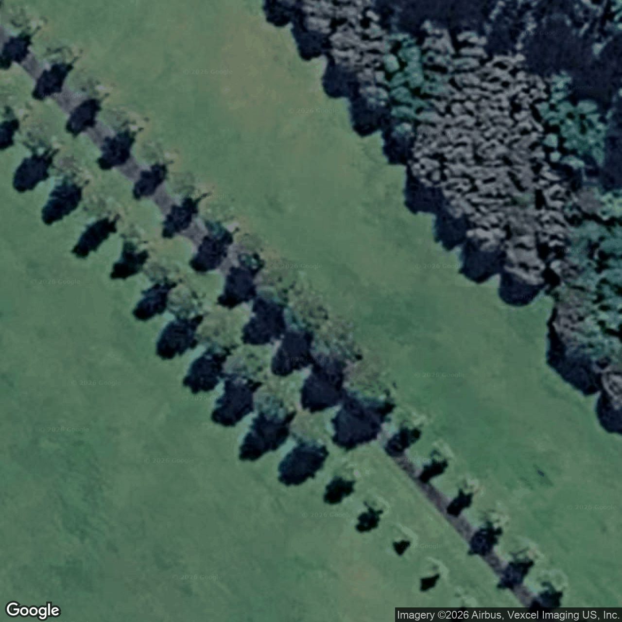 Aerial view of 17 Lyrebird Ridge Road, Springbrook QLD 4213