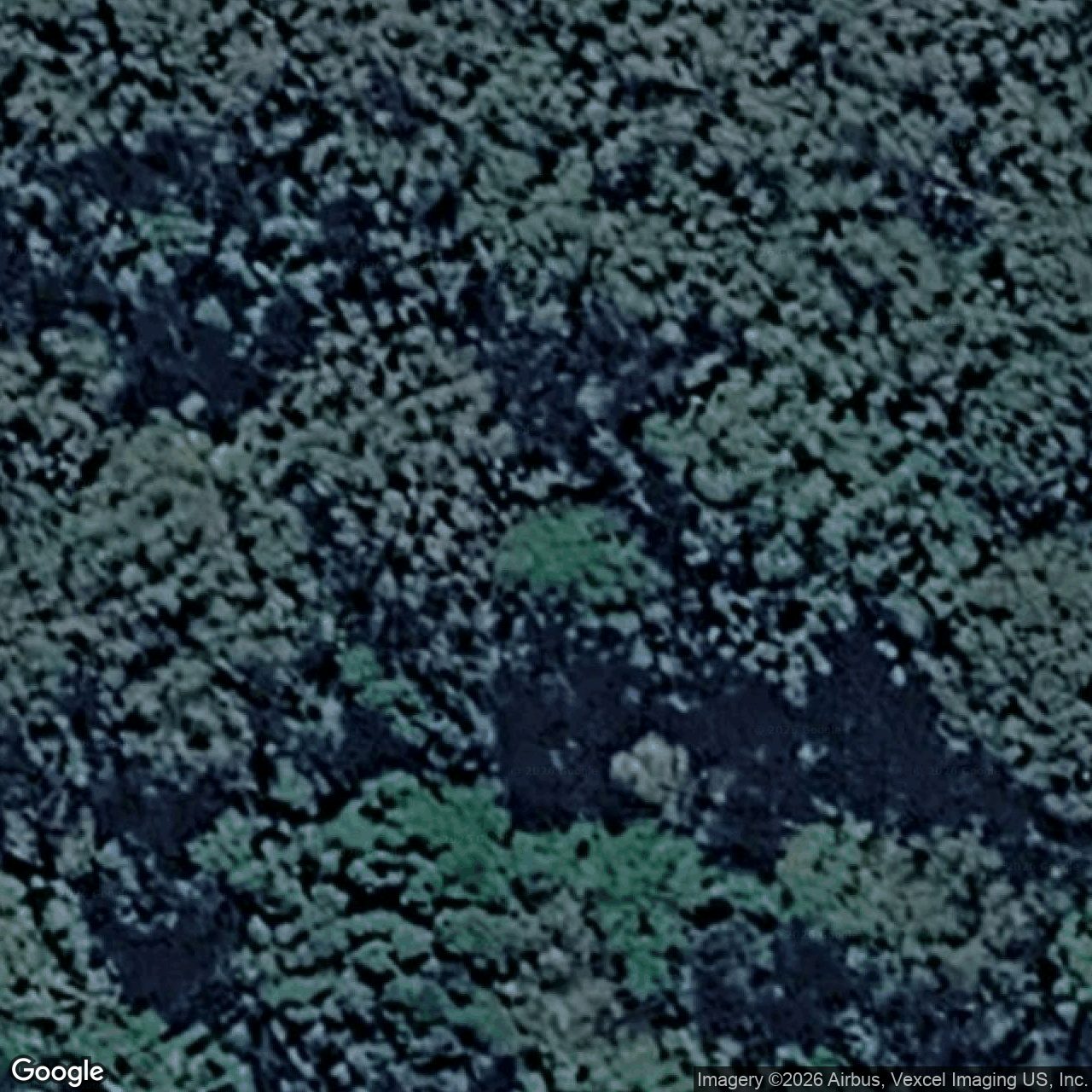 Aerial view of 63 Gwongorella Parade, Springbrook QLD 4213