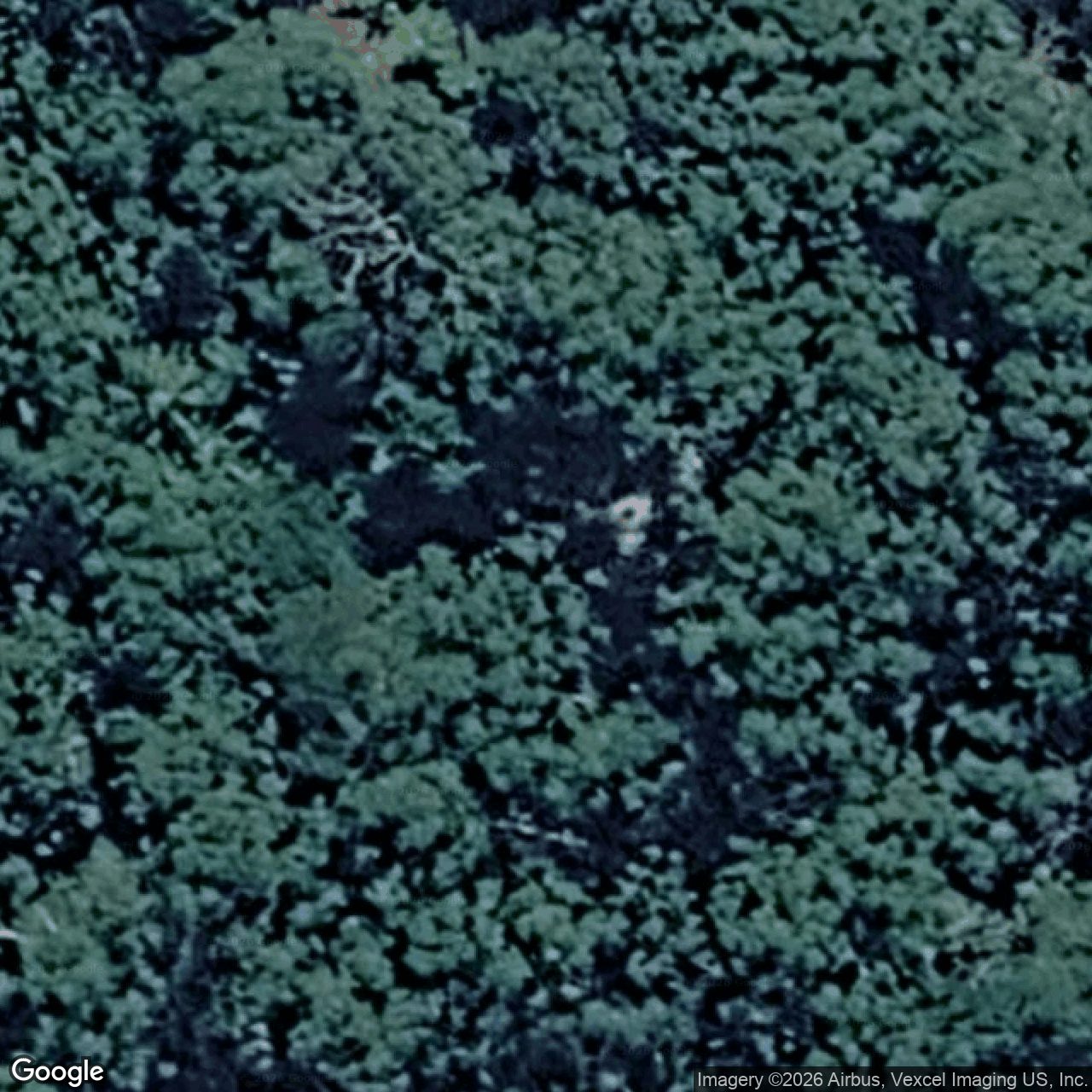 Aerial view of 2223 Springbrook Road, Springbrook QLD 4213