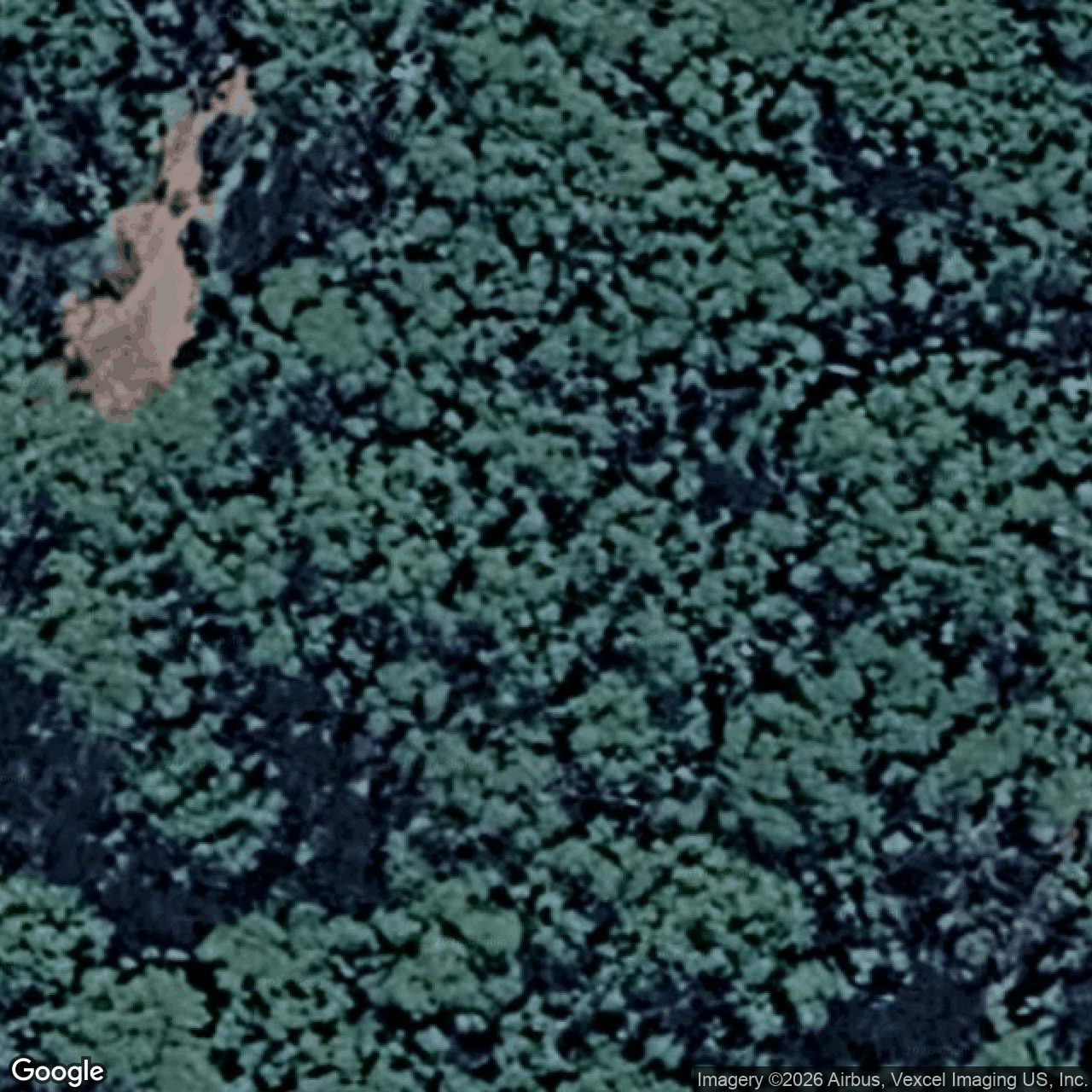 Aerial view of 2190 Springbrook Road, Springbrook QLD 4213