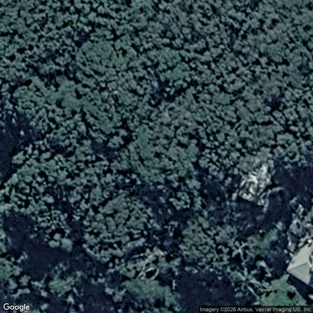 Aerial view of 41 Gwongorella Parade, Springbrook QLD 4213