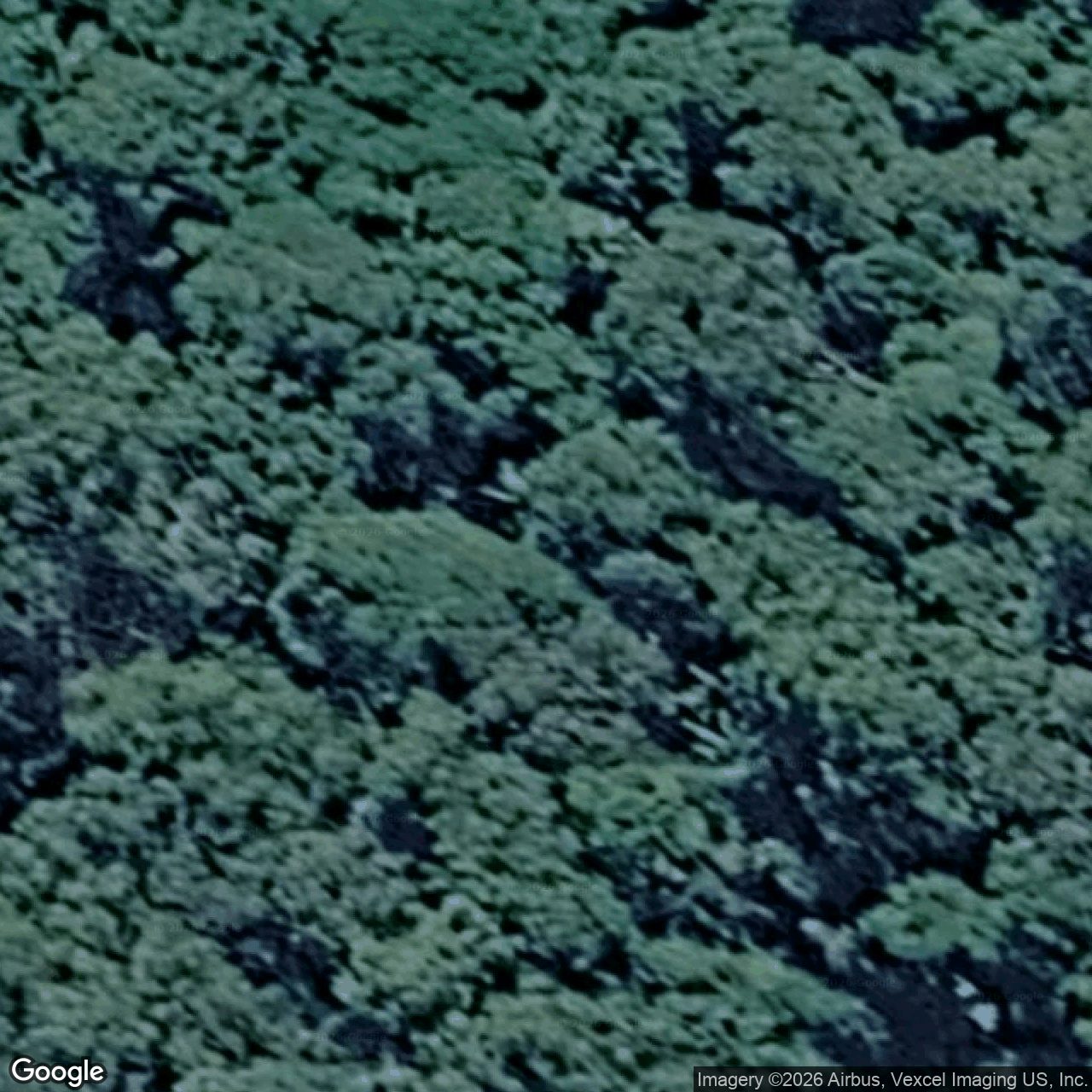Aerial view of 1980 Springbrook Road, Springbrook QLD 4213
