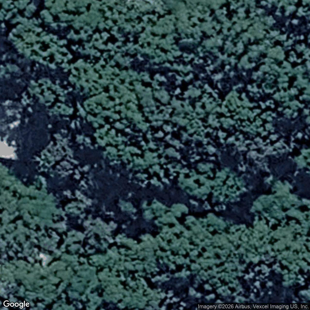 Aerial view of 1975 Springbrook Road, Springbrook QLD 4213