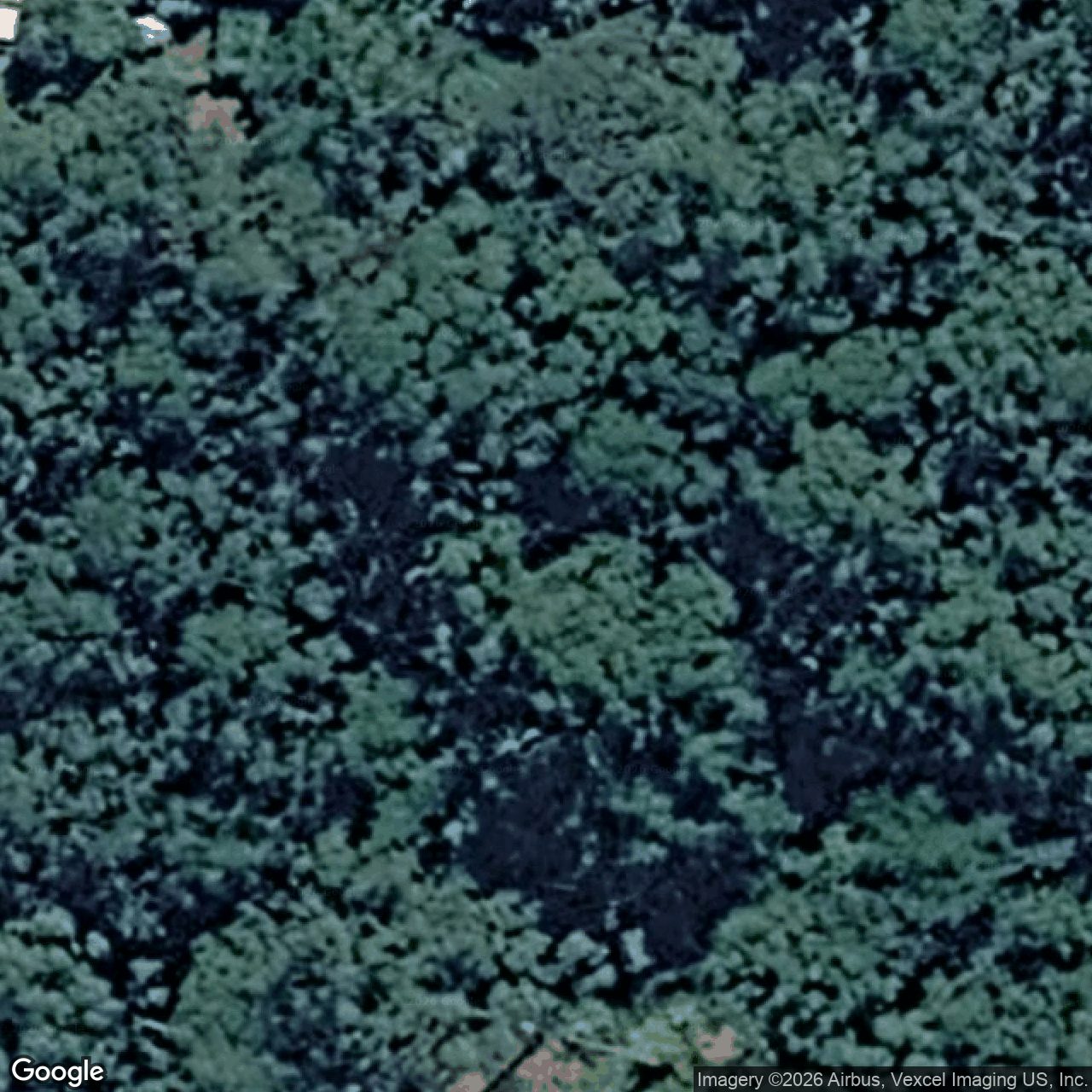 Aerial view of 1951 Springbrook Road, Springbrook QLD 4213