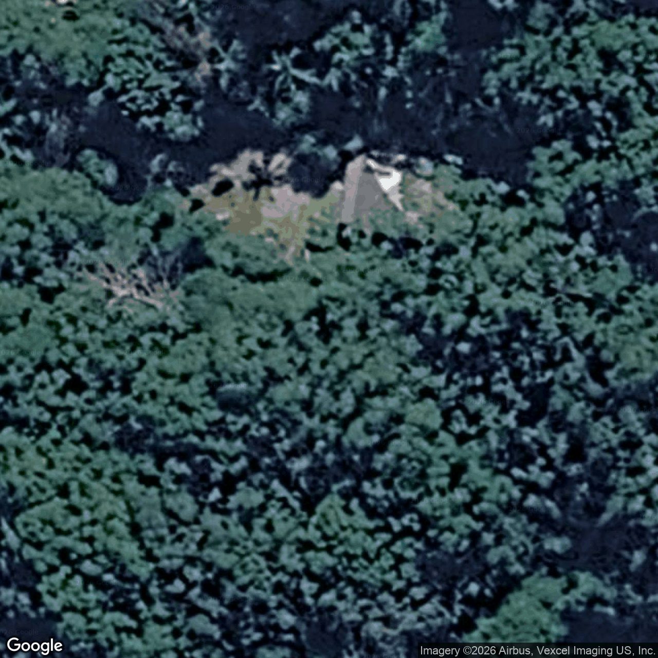 Aerial view of 1971 Springbrook Road, Springbrook QLD 4213