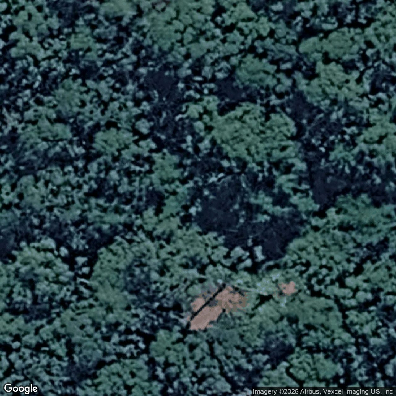 Aerial view of 1955 Springbrook Road, Springbrook QLD 4213