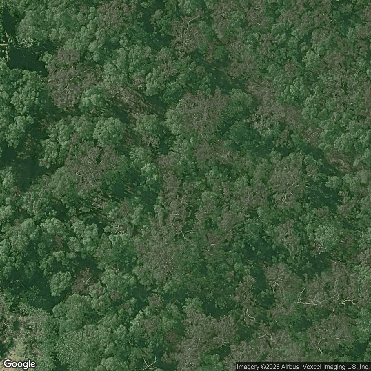Aerial view of 26 Glenrowan Drive, Tallai QLD 4213