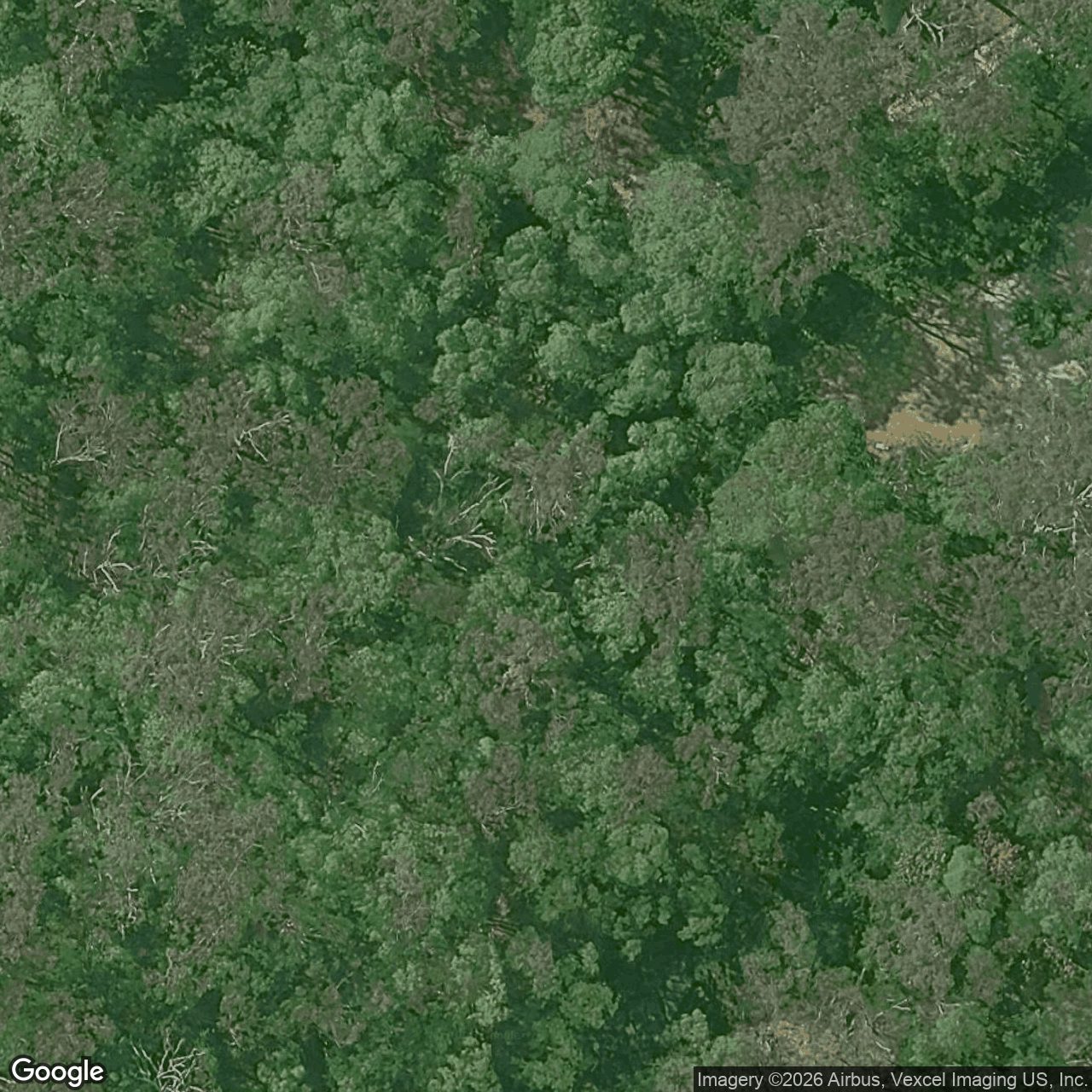 Aerial view of 44 Glenrowan Drive, Tallai QLD 4213