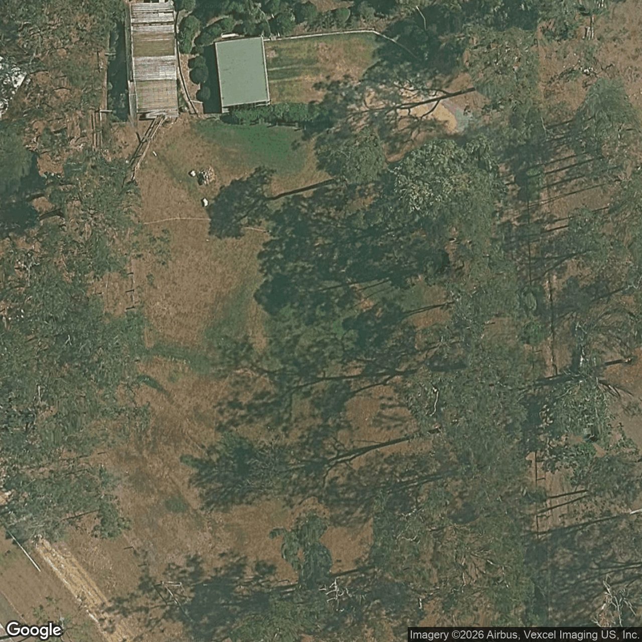 Aerial view of 25 Tallai Road, Tallai QLD 4213