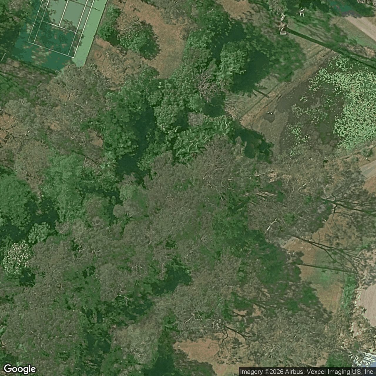 Aerial view of 235 Worongary Road, Tallai QLD 4213