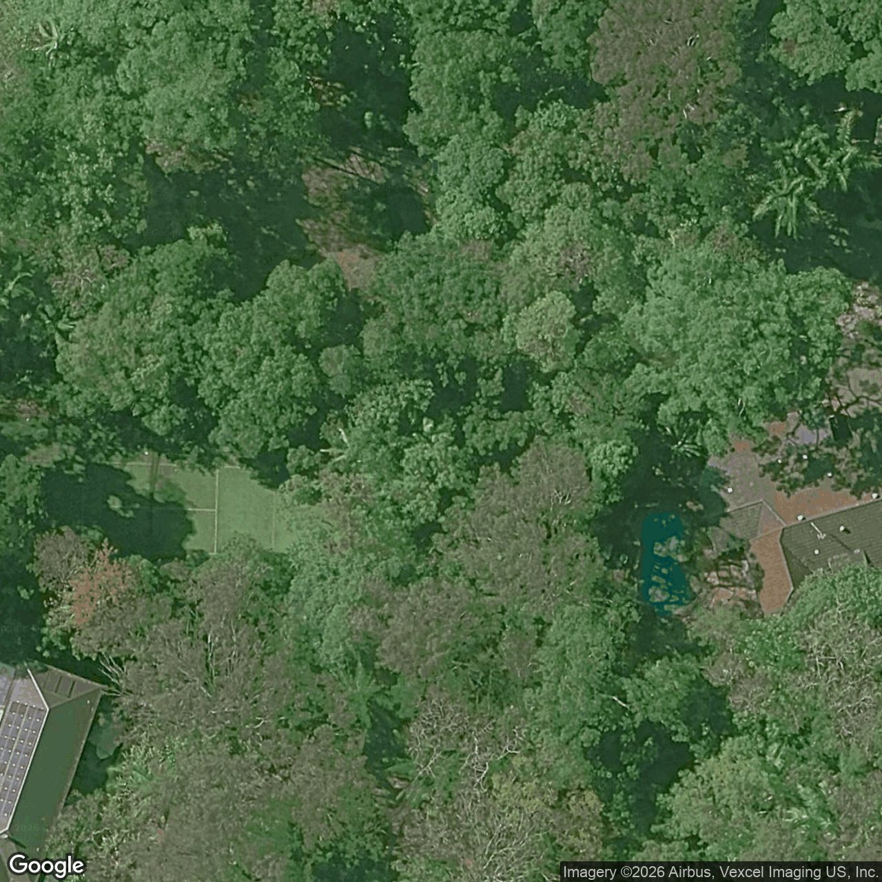 Aerial view of 20 Veronica Drive, Tallai QLD 4213
