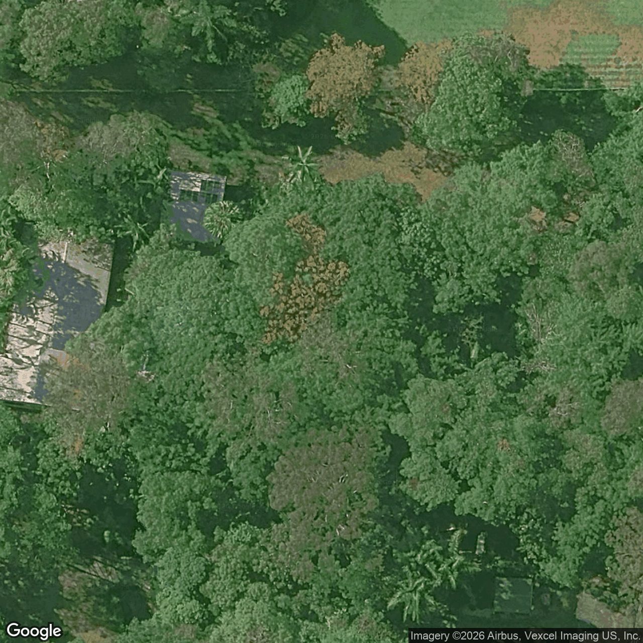Aerial view of 18 Veronica Drive, Tallai QLD 4213