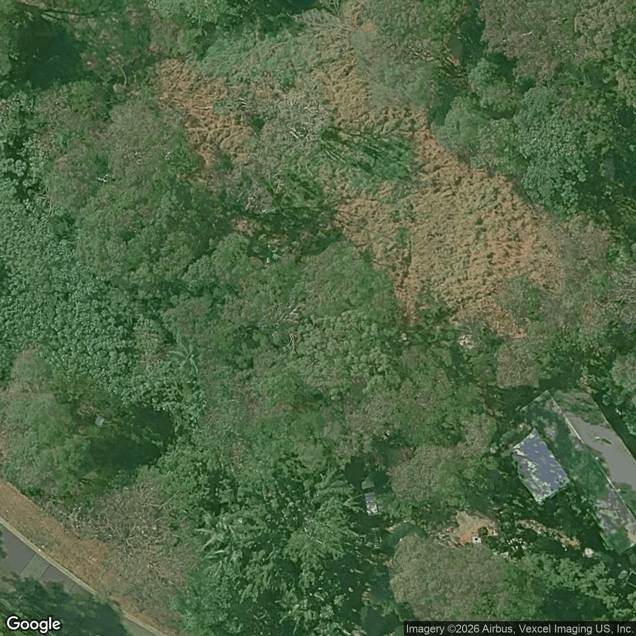 Aerial view of 81 Tallai Road, Tallai QLD 4213