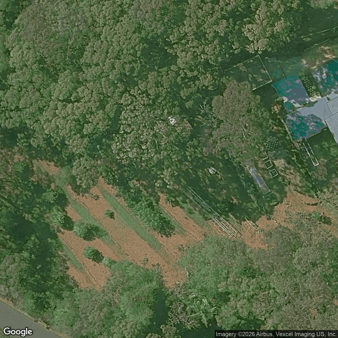 Aerial view of 4 Earle Court, Tallai QLD 4213