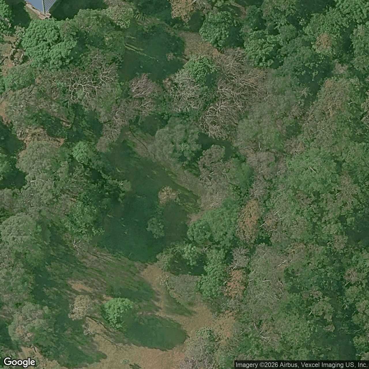 Aerial view of 30 Veronica Drive, Tallai QLD 4213