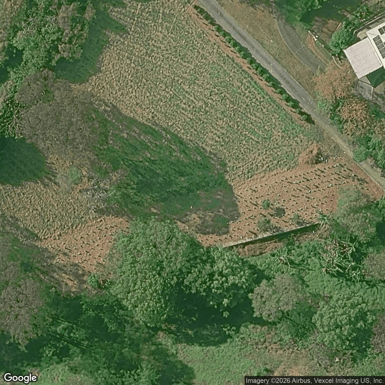 Aerial view of 99B Tallai Road, Tallai QLD 4213