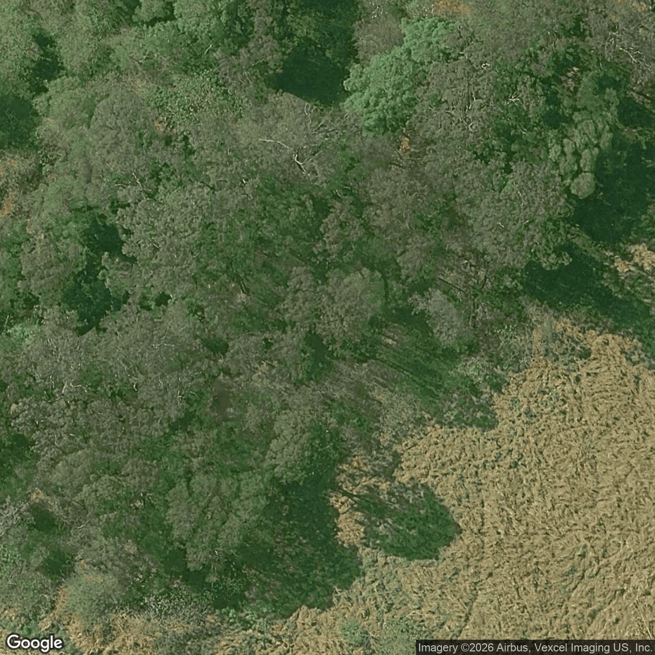 Aerial view of 473 The Panorama, Tallai QLD 4213