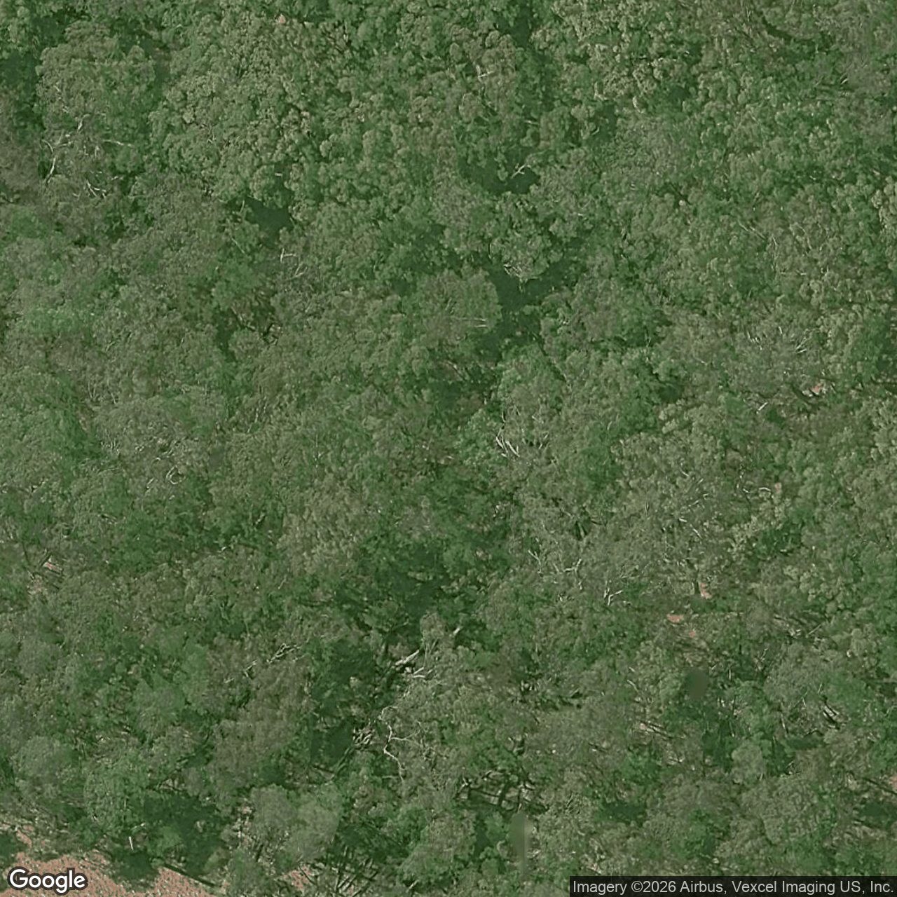 Aerial view of 241 The Panorama, Tallai QLD 4213
