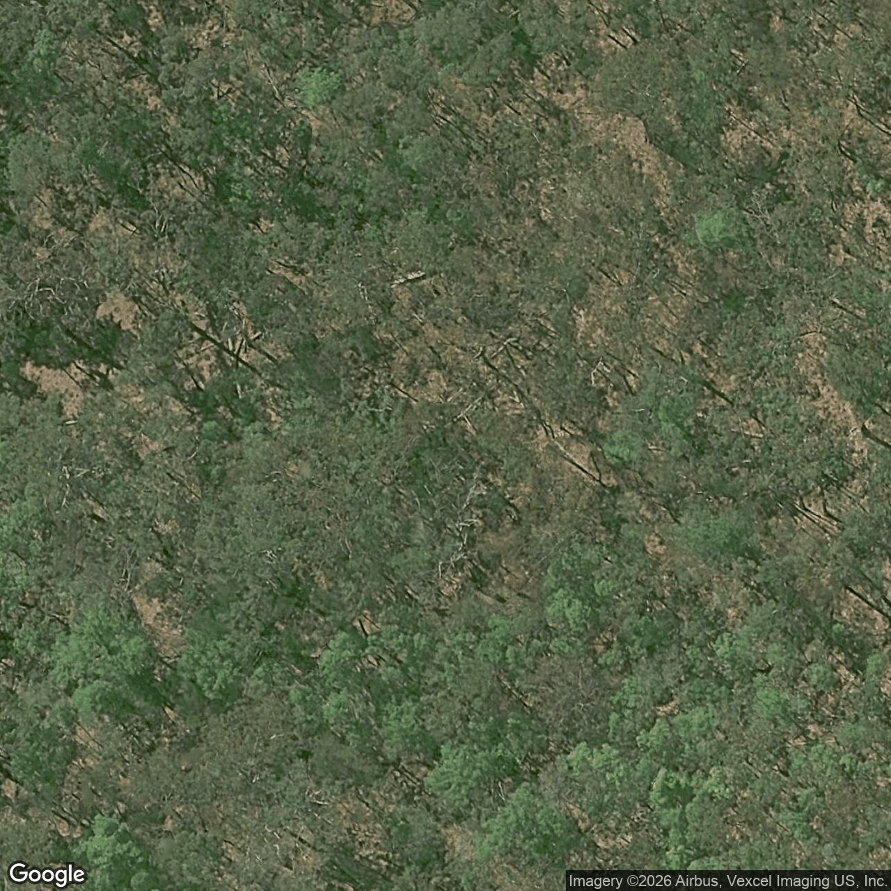 Aerial view of 108 Red Oak Drive, Tallai QLD 4213
