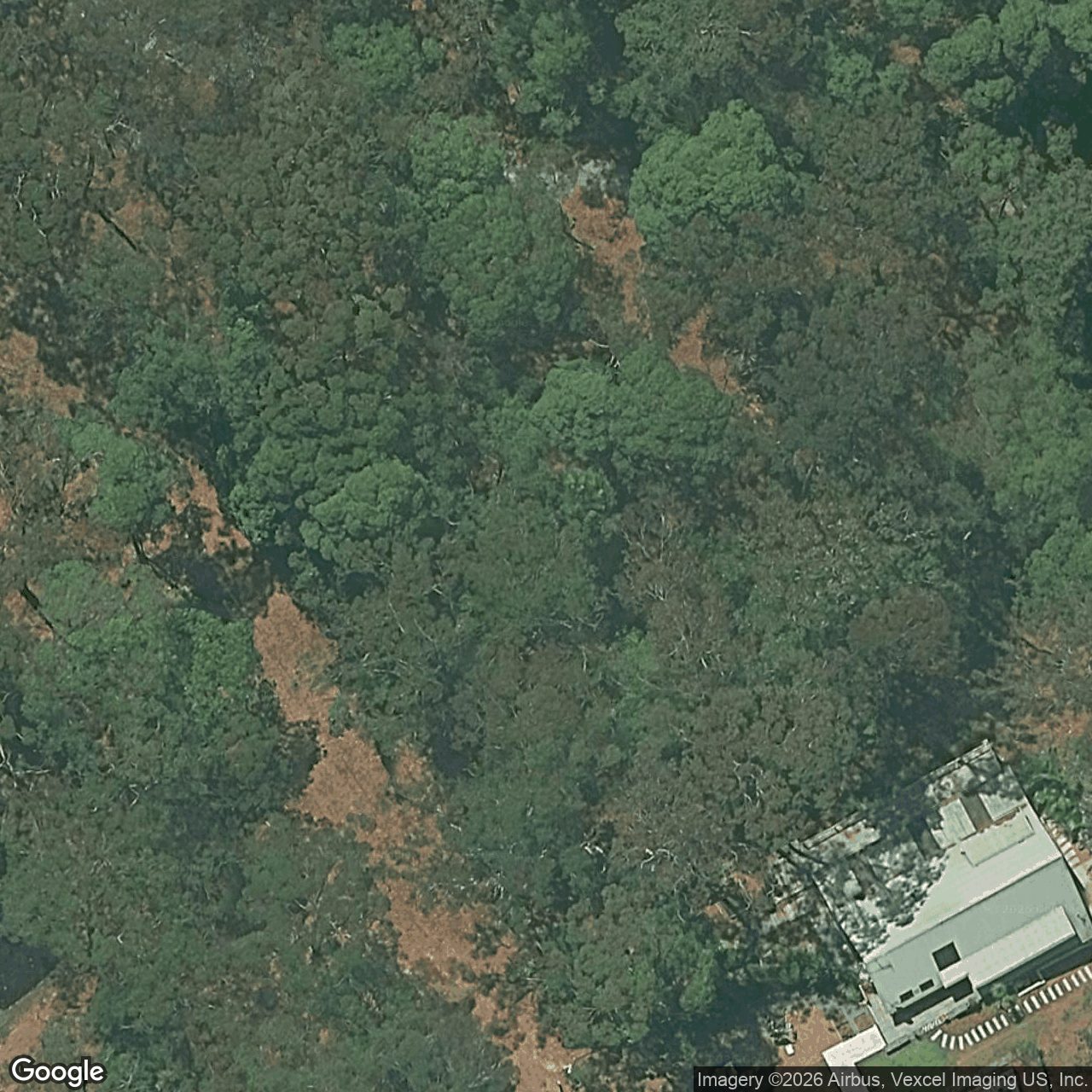 Aerial view of 229 Trees Road, Tallebudgera QLD 4228