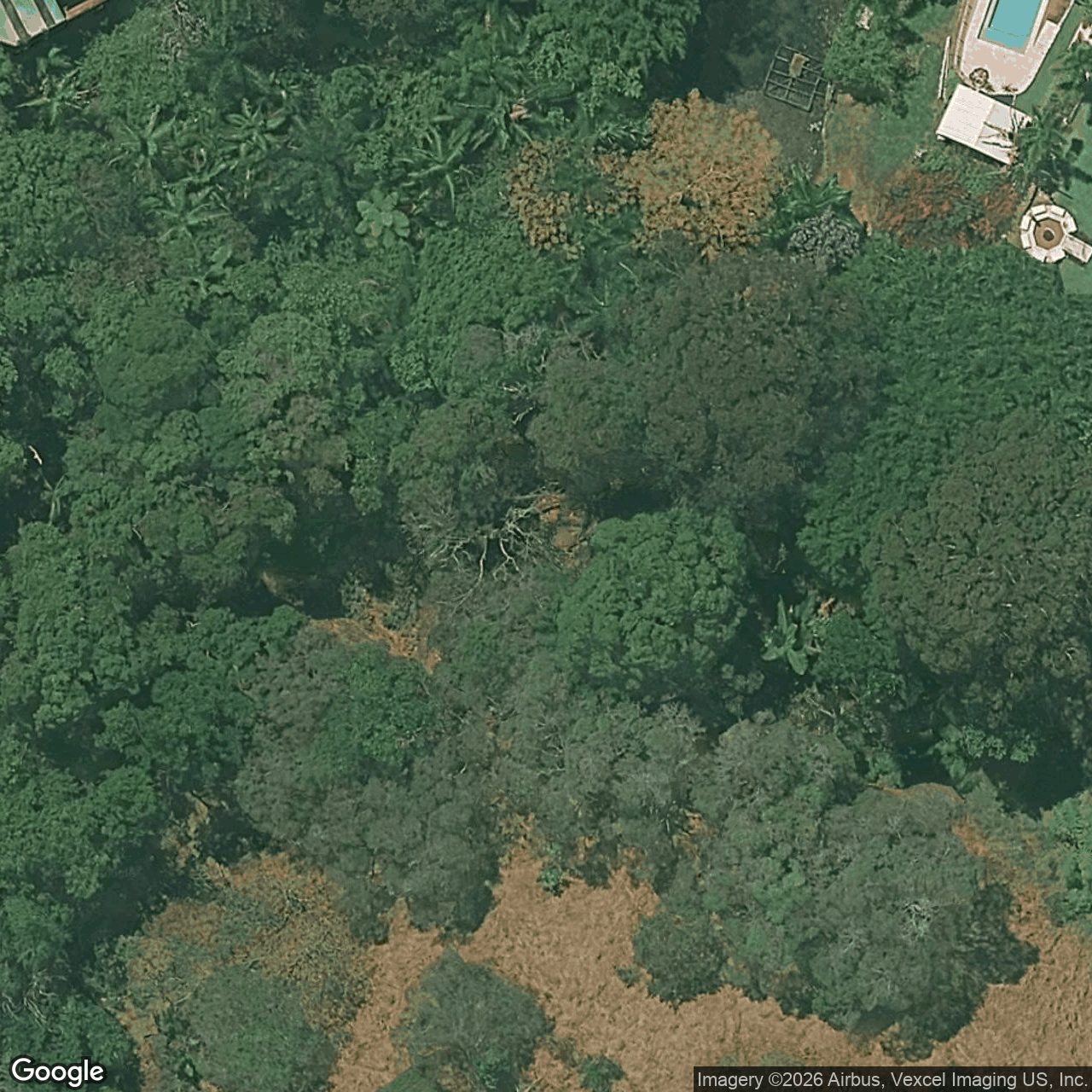 Aerial view of 7 Dalwood Court, Tallebudgera QLD 4228