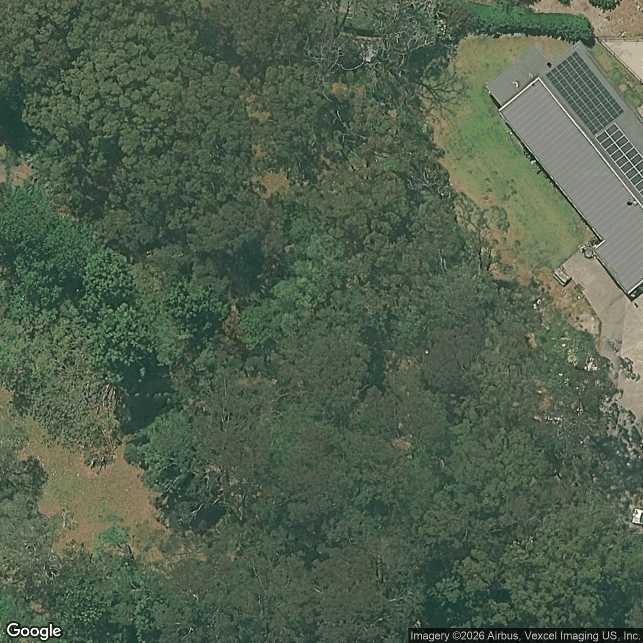 Aerial view of 3 Tyalla Court, Tallebudgera QLD 4228