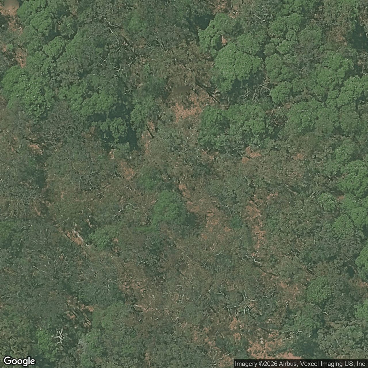 Aerial view of 382 Trees Road, Tallebudgera QLD 4228