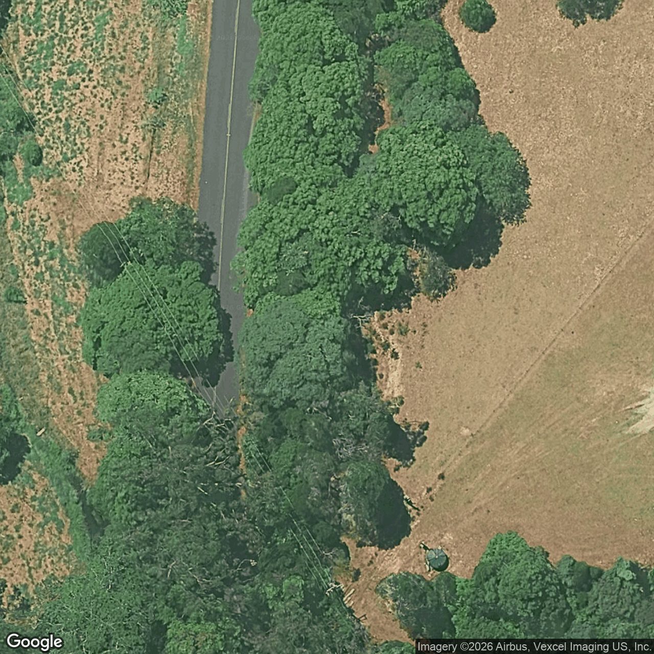 Aerial view of 128 Syndicate Road, Tallebudgera QLD 4228