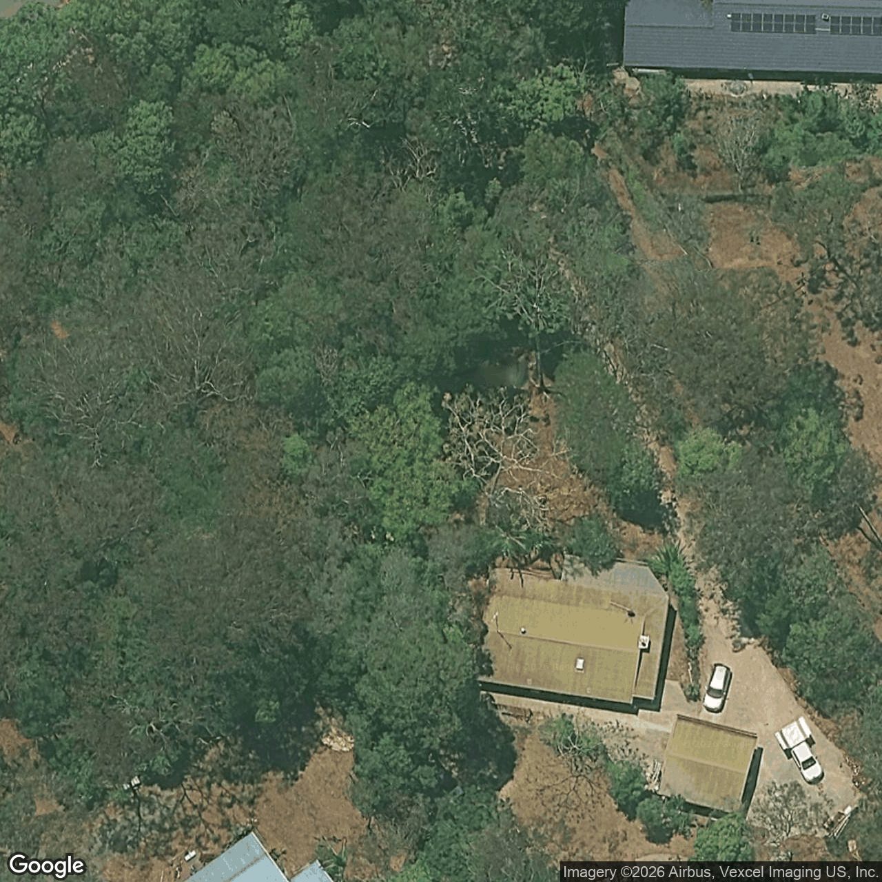 Aerial view of 41 Coorabin Court, Tallebudgera QLD 4228